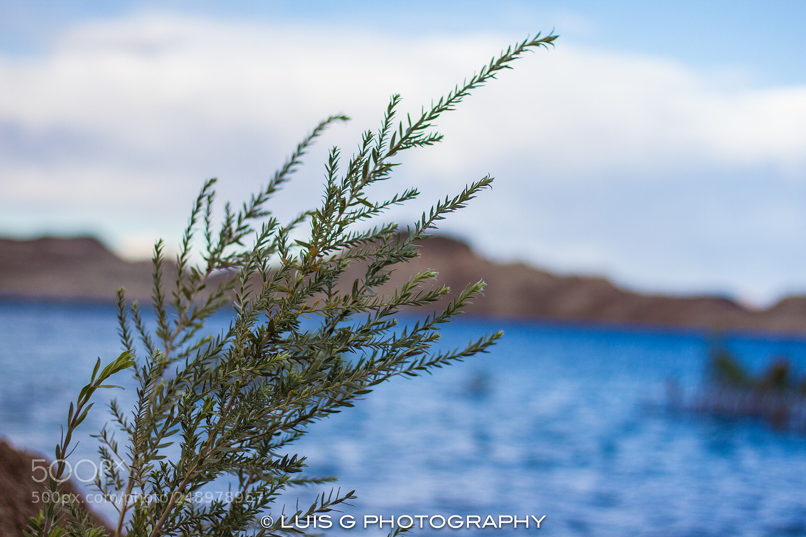 Canon EOS 7D sample photo. Lake mead national recreation photography