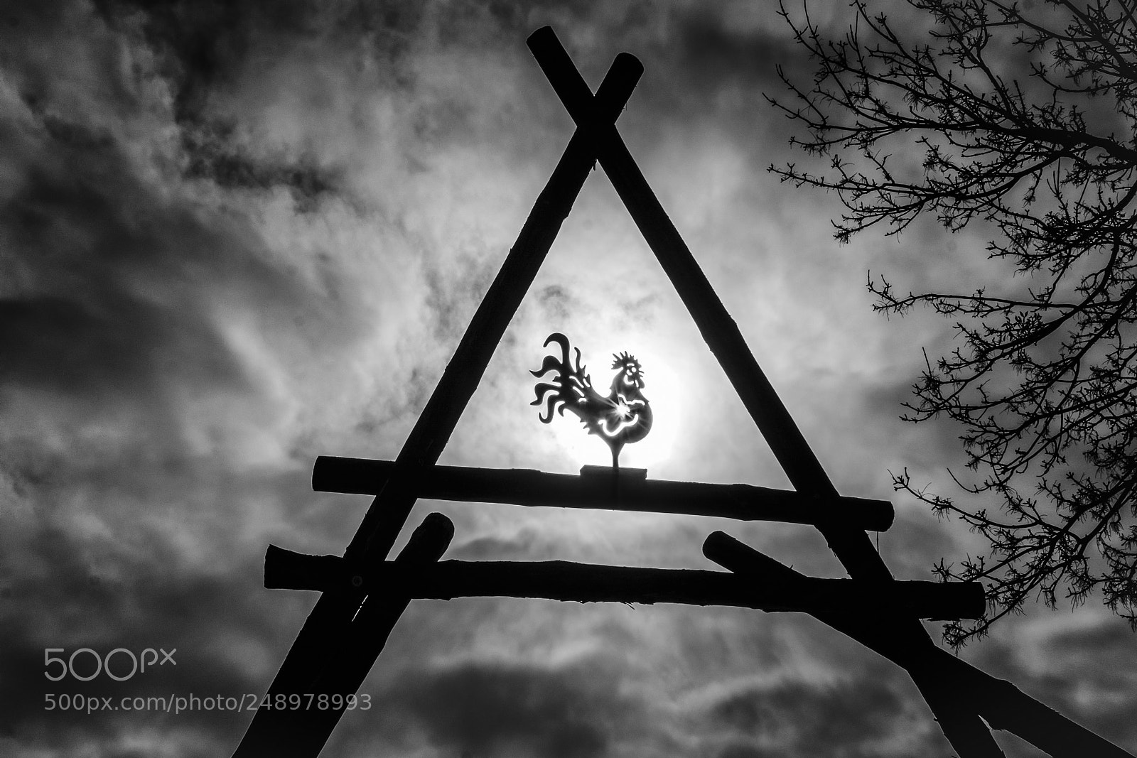 Nikon D7100 sample photo. Gate photography
