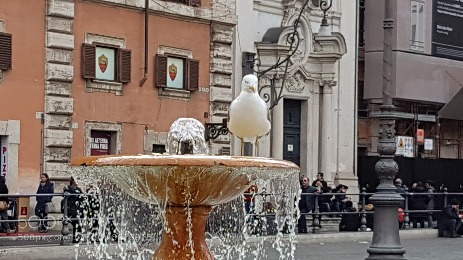 Samsung Galaxy S7 Edge sample photo. Il gabbiano jonathan livingston photography