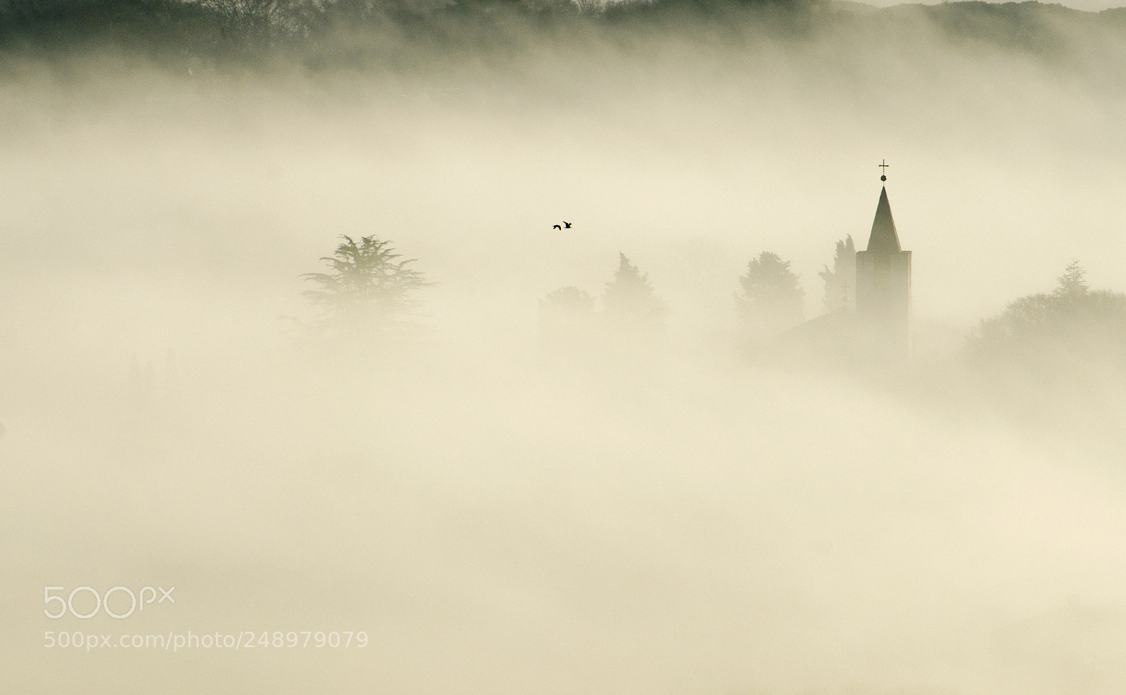 Nikon D7000 sample photo. Foggy day photography