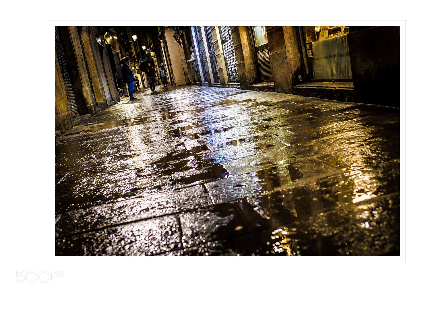 Nikon D5 sample photo. Rain photography