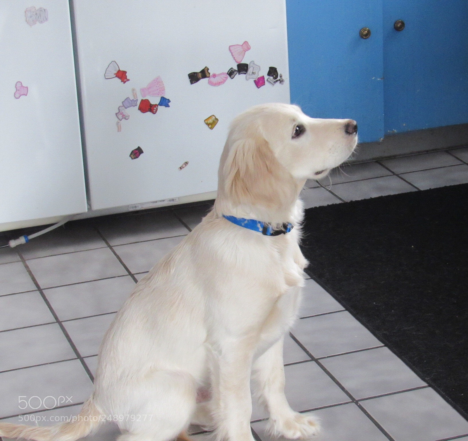 Canon PowerShot SX530 HS sample photo. Meet max our grand photography