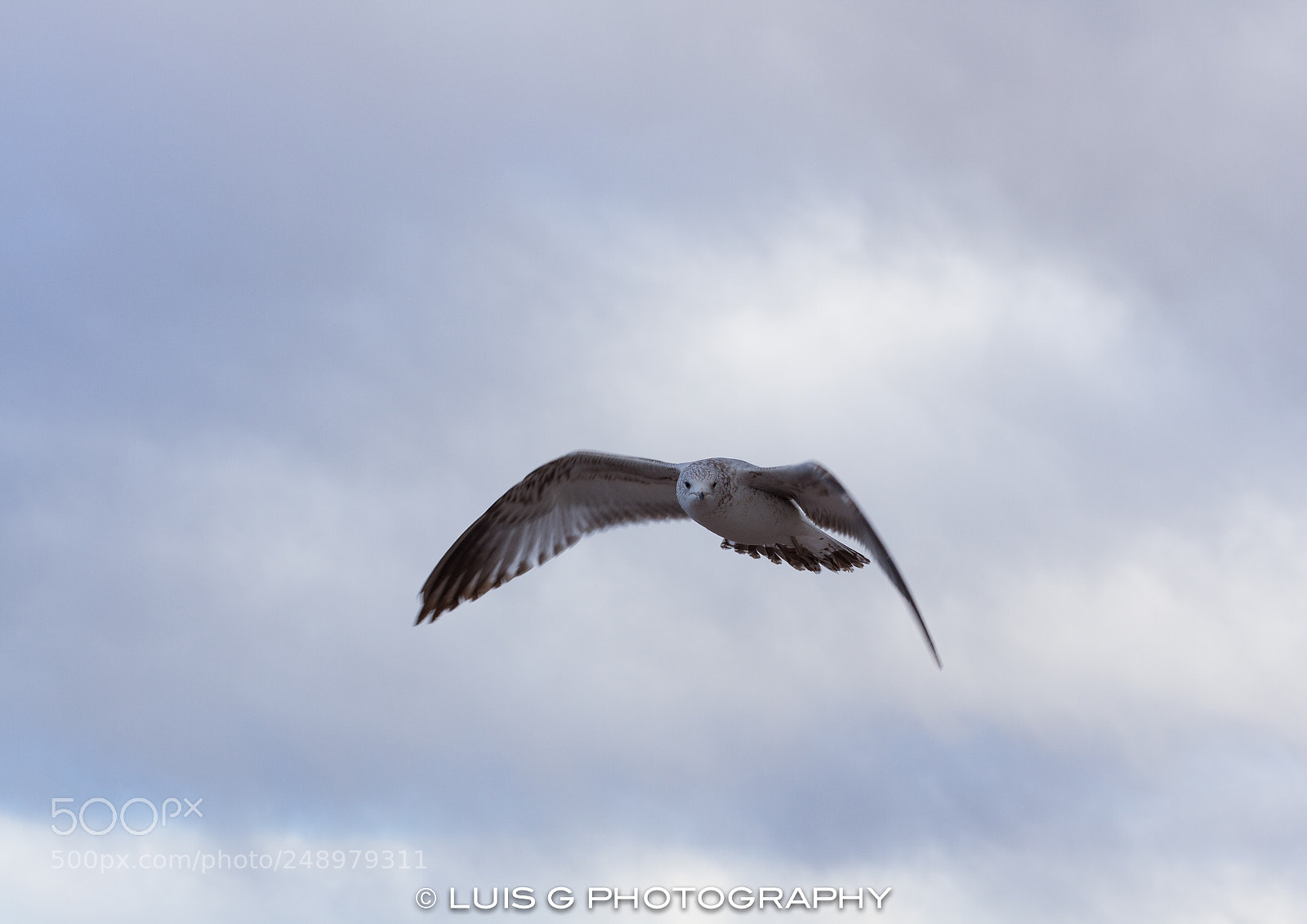 Canon EOS 7D sample photo. Lake mead national recreation photography
