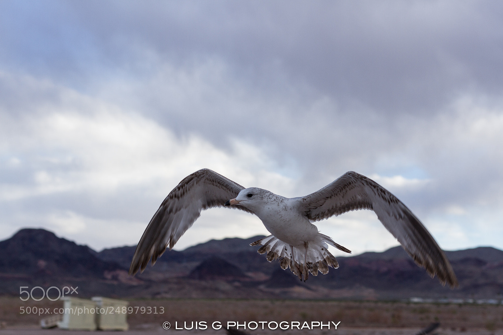 Canon EOS 7D sample photo. Lake mead national recreation photography