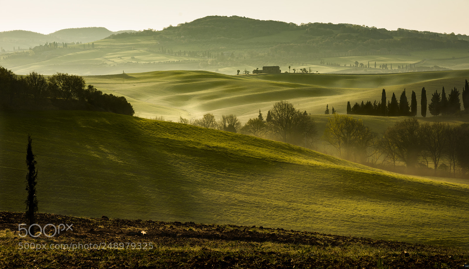 Nikon D810 sample photo. Foggy morning photography