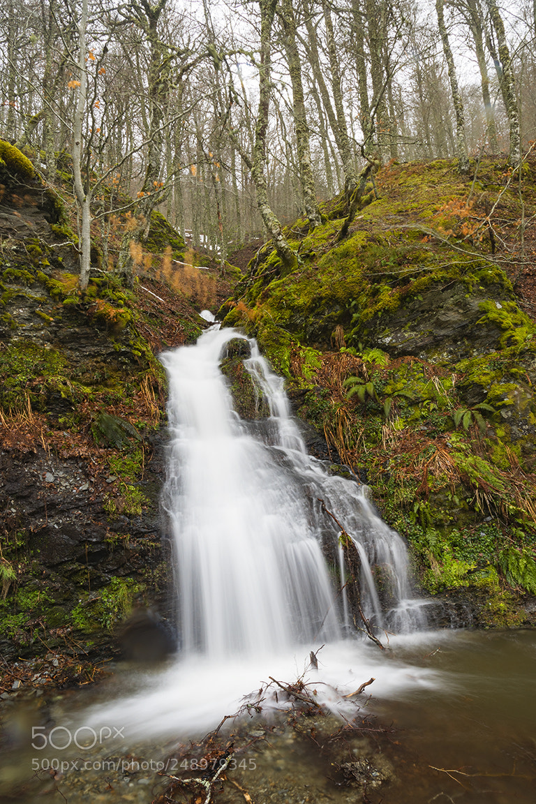 Nikon D810 sample photo. Cascada invernal photography