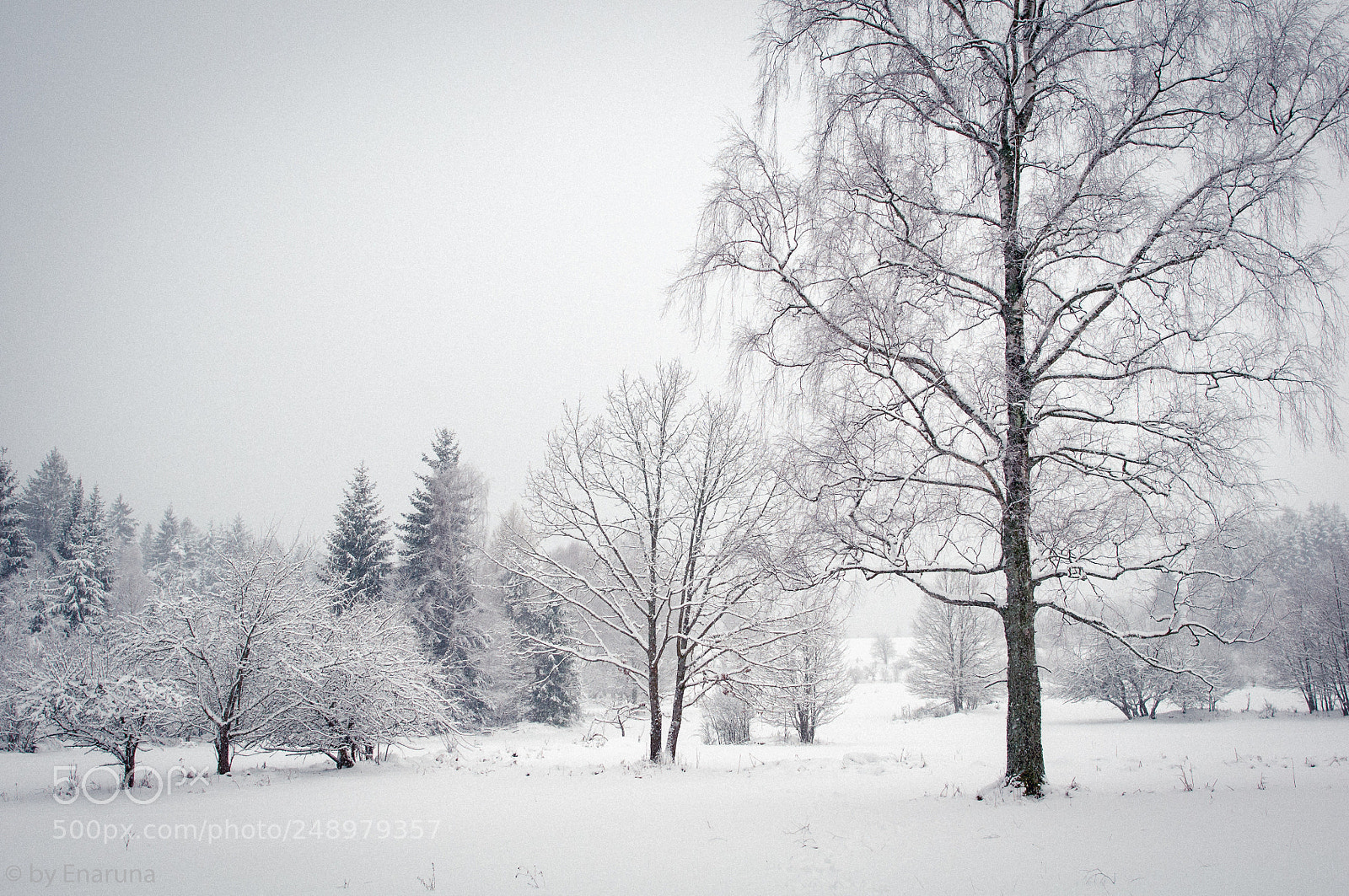 Nikon D300S sample photo. Winter landscape photography