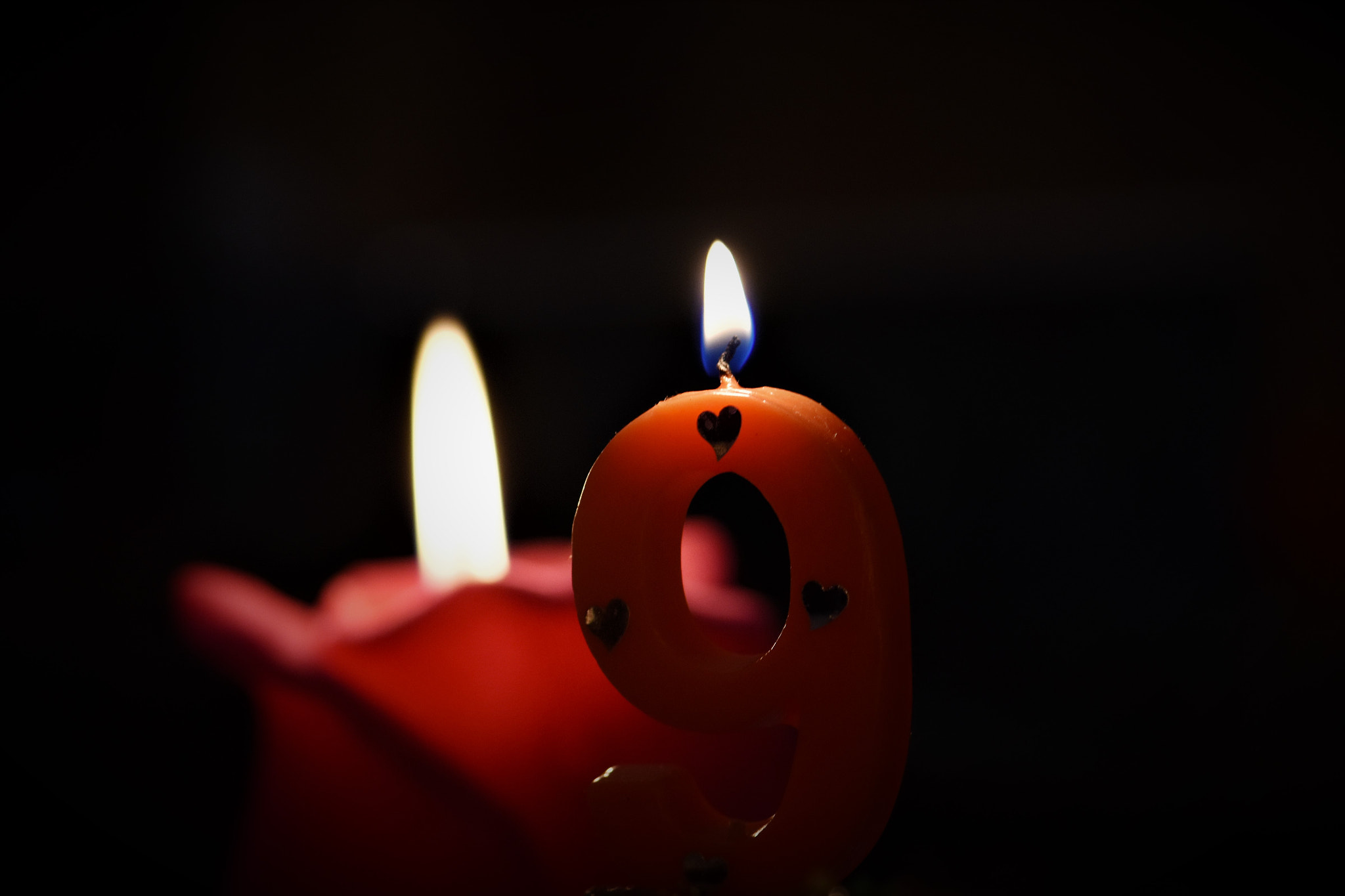 Nikon AF-S Micro-Nikkor 105mm F2.8G IF-ED VR sample photo. Nine . . . photography