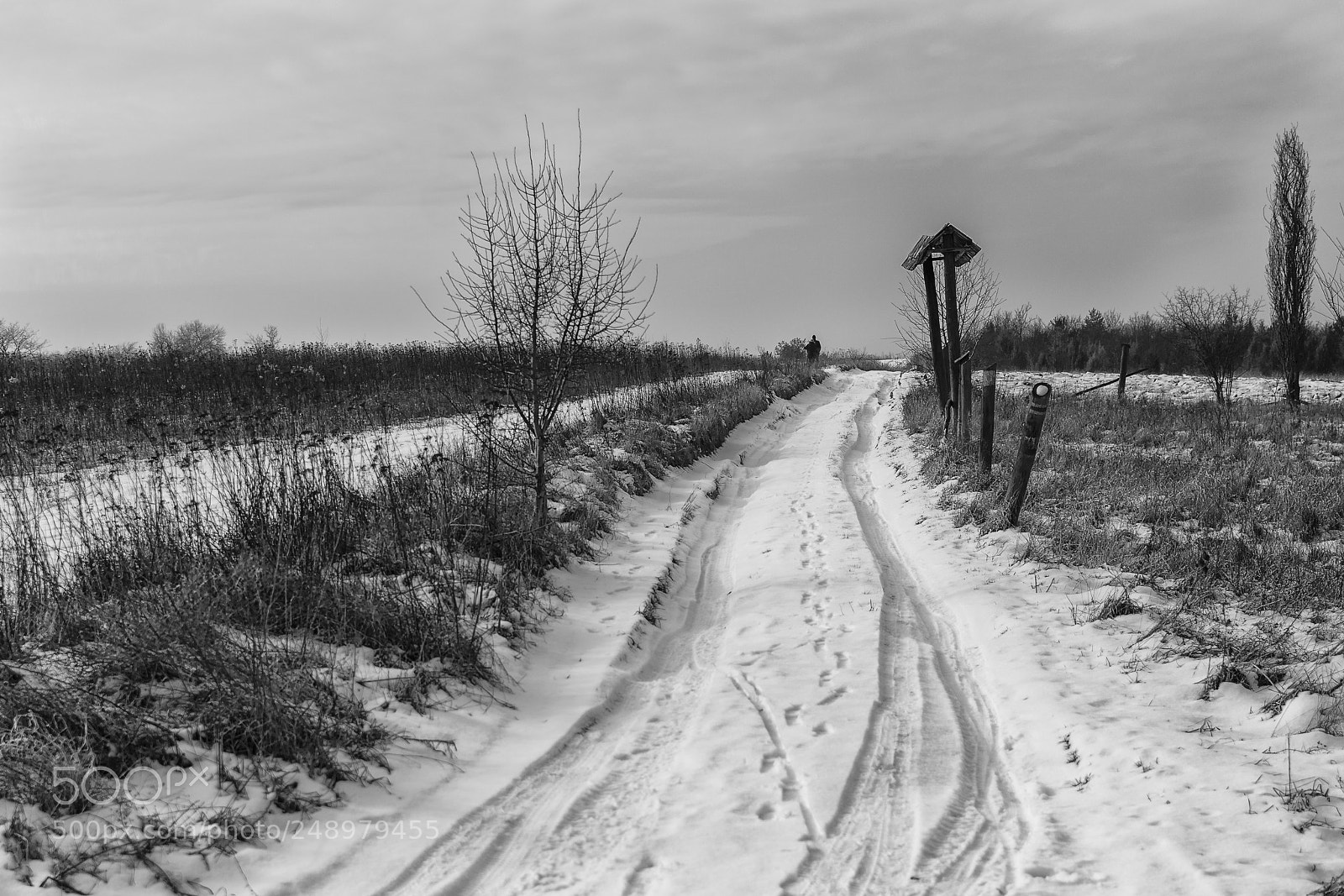 Nikon D7100 sample photo. Path photography