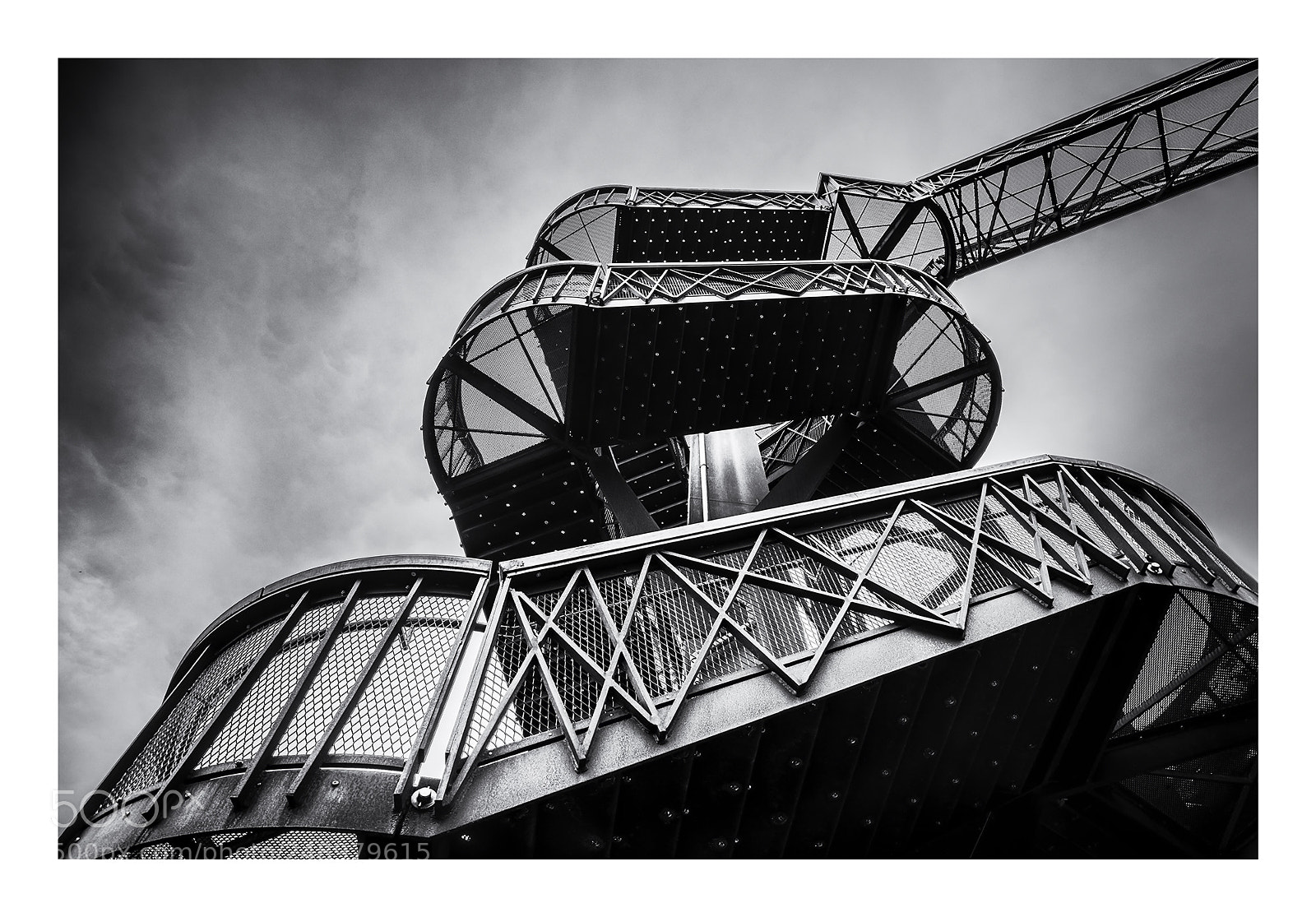 Nikon D810 sample photo. Treetop walkway photography