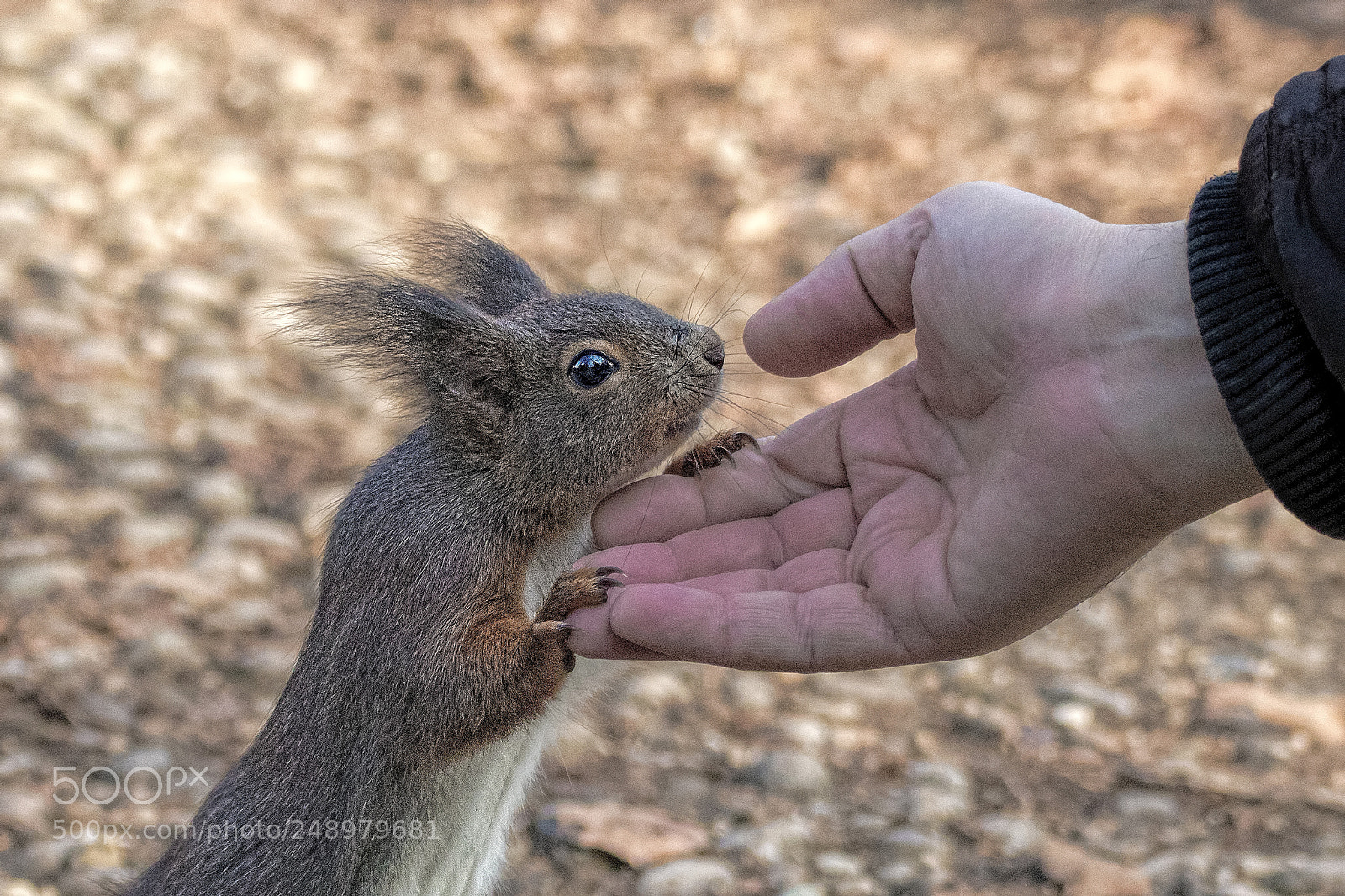 Canon EOS 80D sample photo. The touch photography