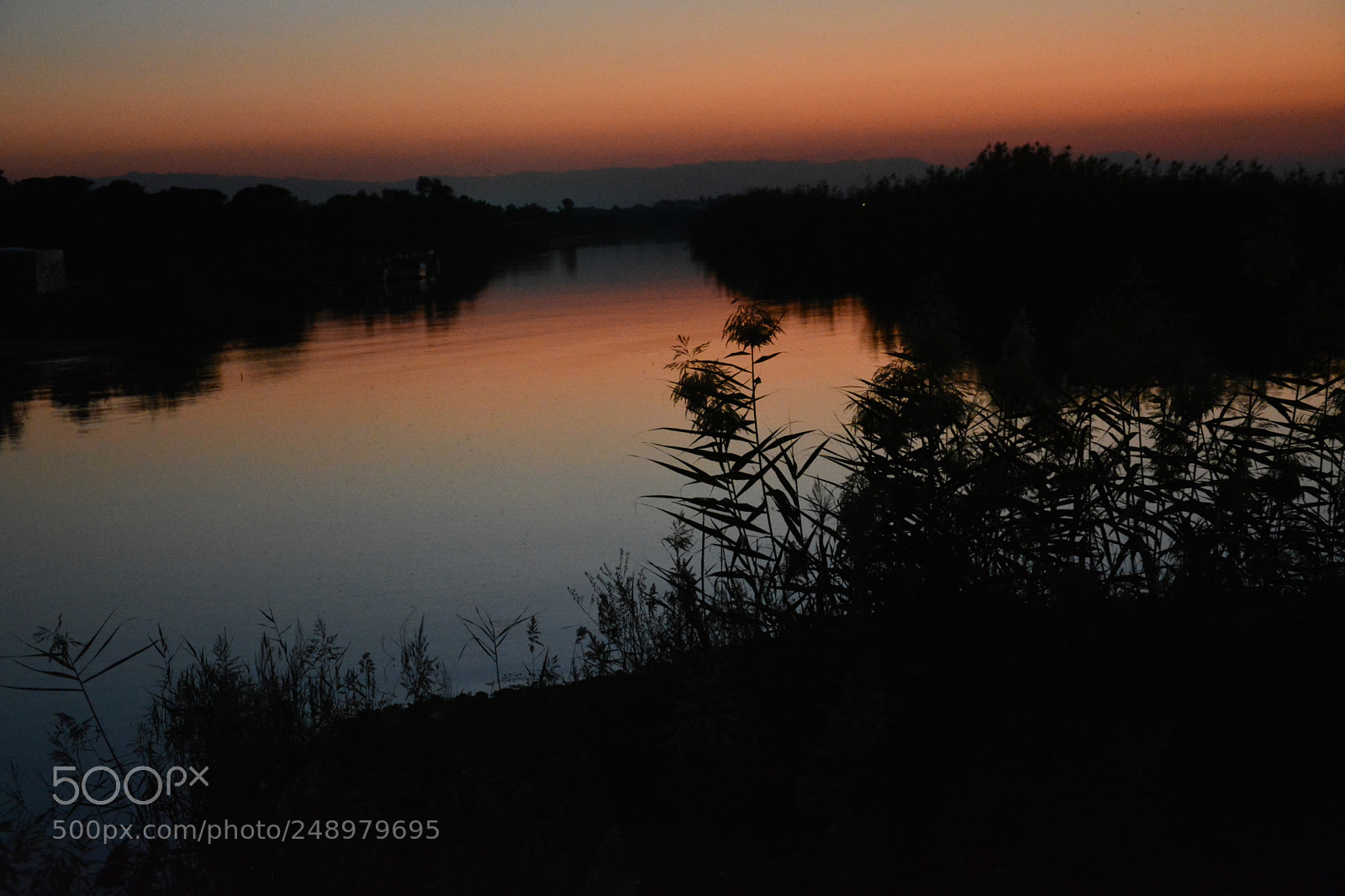 Nikon D5200 sample photo. Untitled photography