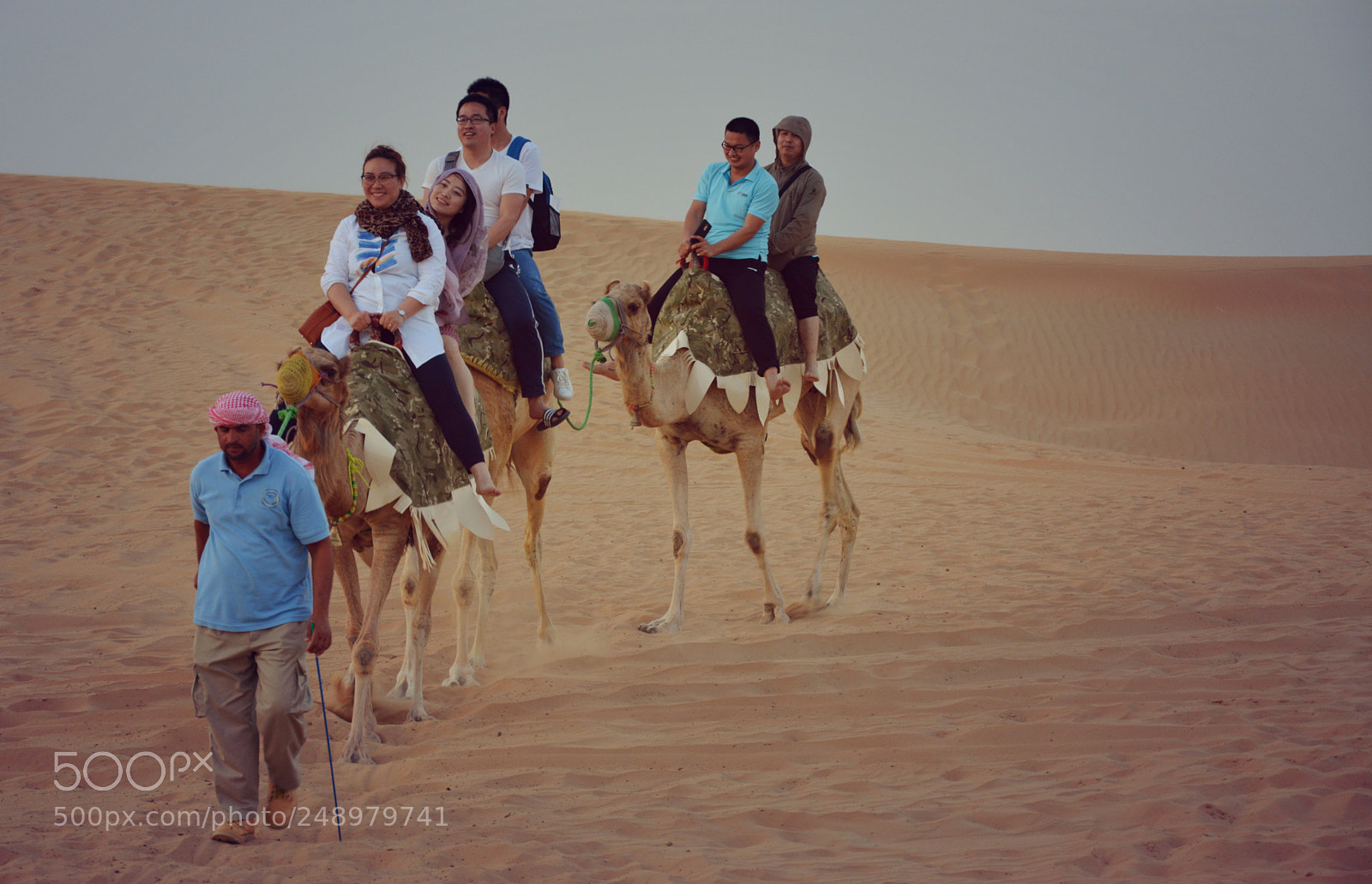 Nikon D5200 sample photo. Camels photography