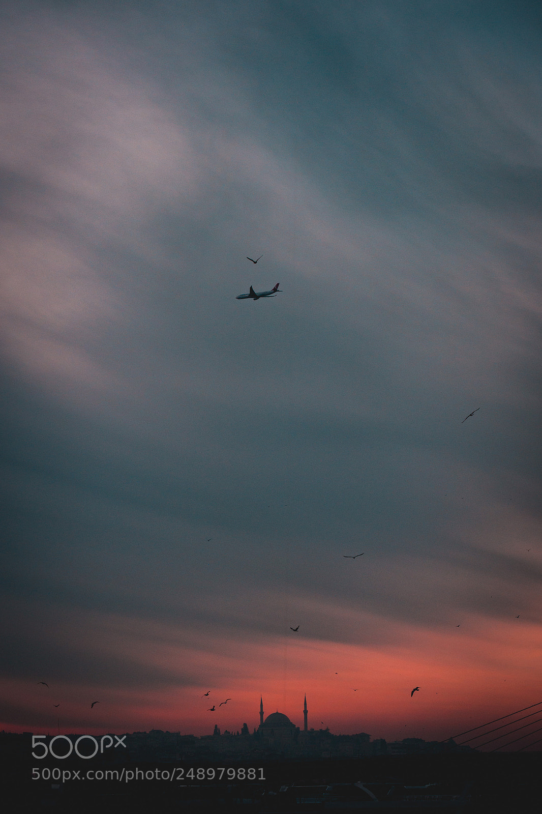 Olympus OM-D E-M10 II sample photo. Fly photography