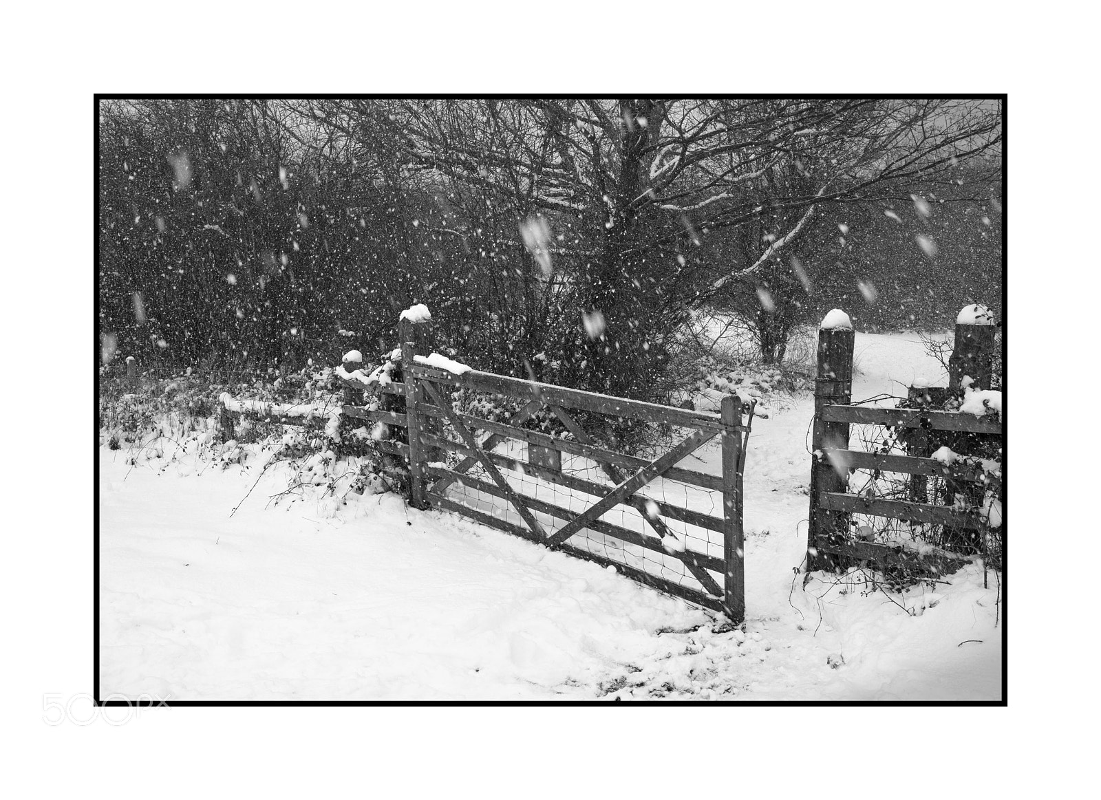 Fujifilm X-Pro2 sample photo. Open gate snow storm photography