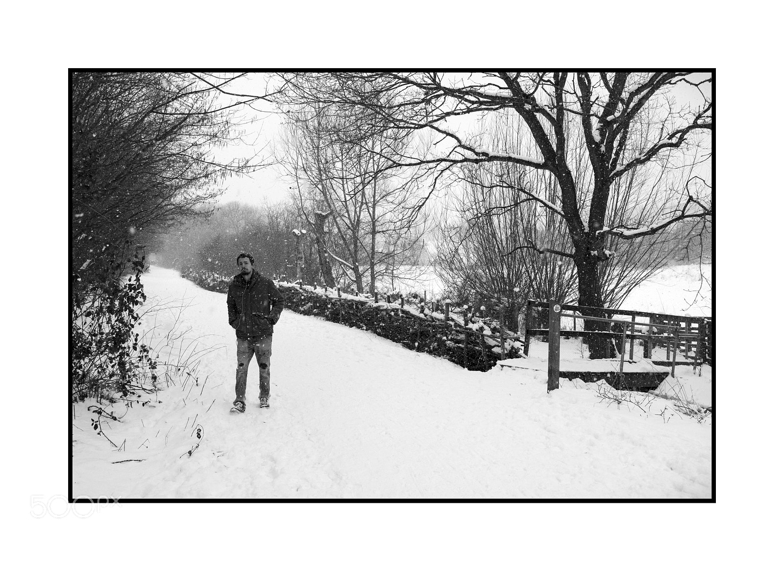 Fujifilm X-Pro2 sample photo. Winter walk highwoods country photography