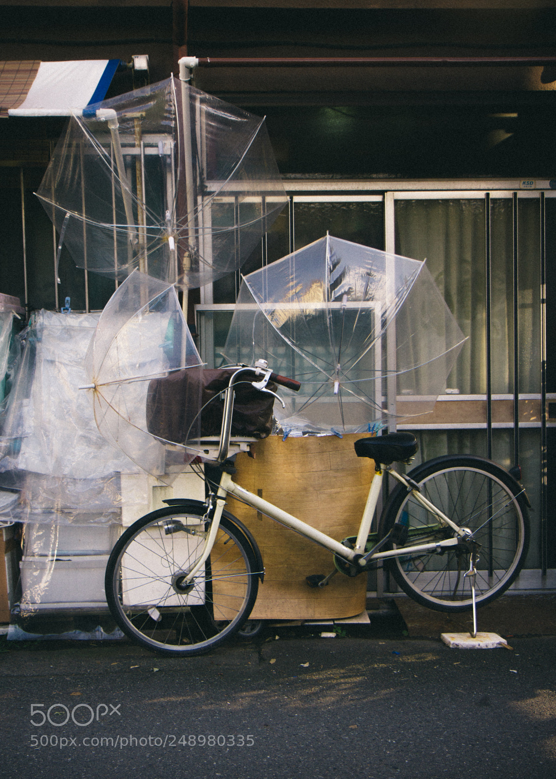 Canon EOS 550D (EOS Rebel T2i / EOS Kiss X4) sample photo. // protect them photography