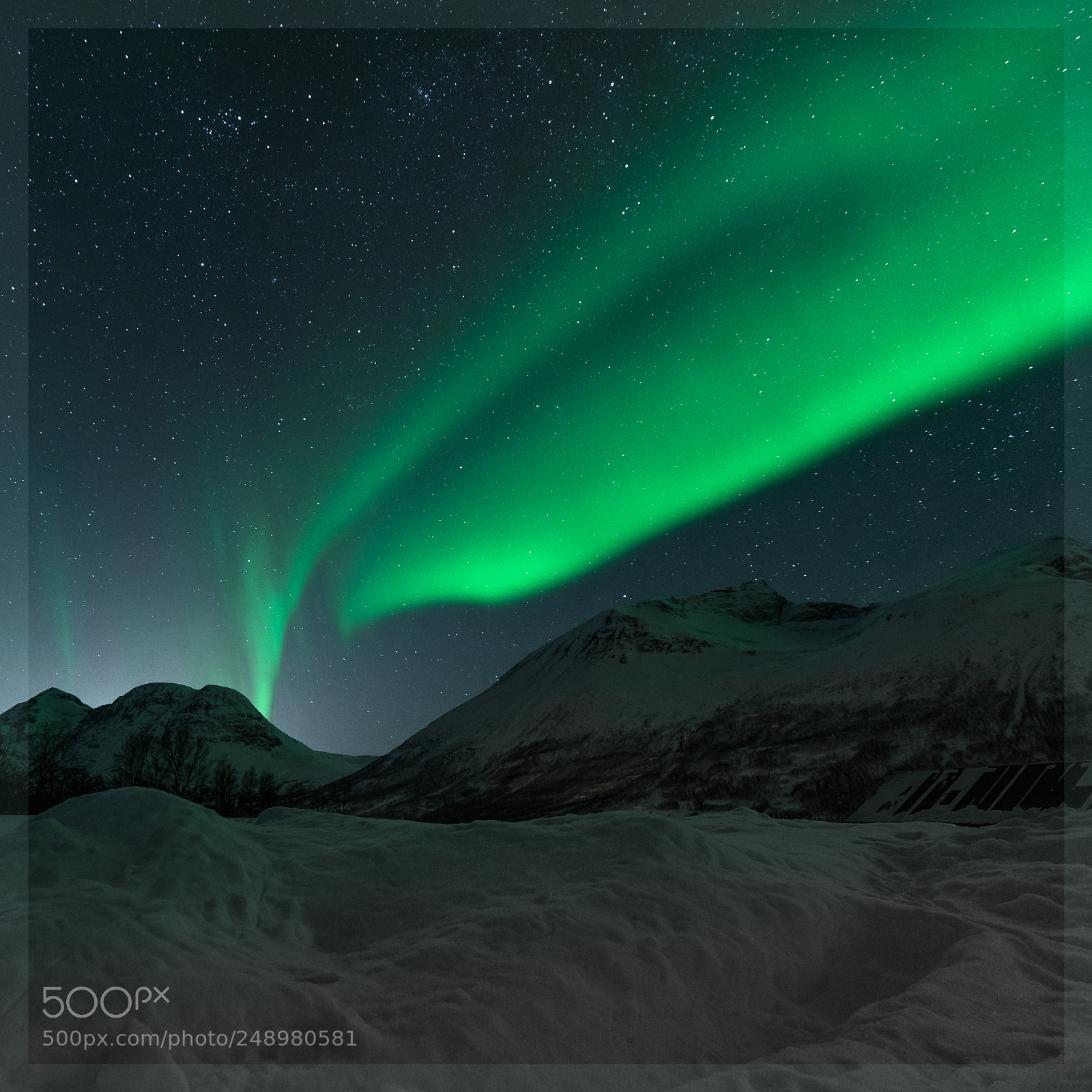 Nikon D610 sample photo. Aurora and stars photography