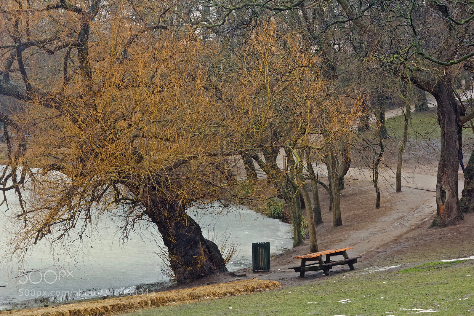 Canon EOS 60D sample photo. Beginning of an end. photography
