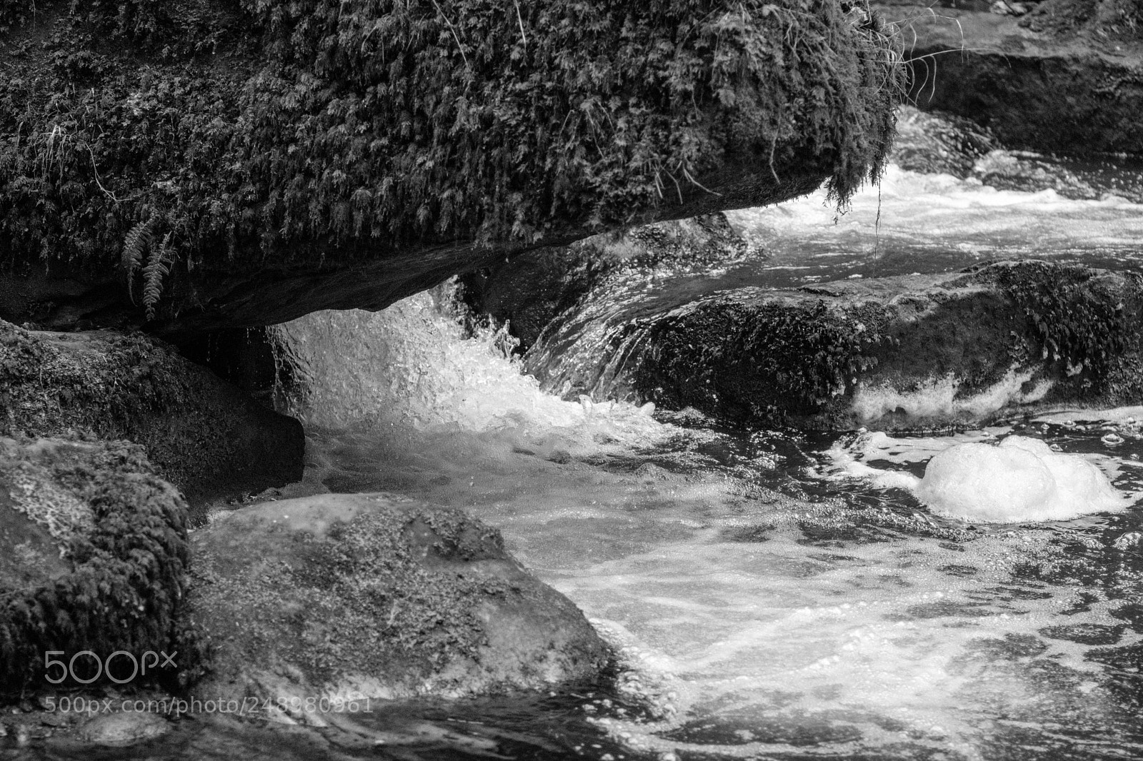Canon EOS 750D (EOS Rebel T6i / EOS Kiss X8i) sample photo. La petite suisse photography