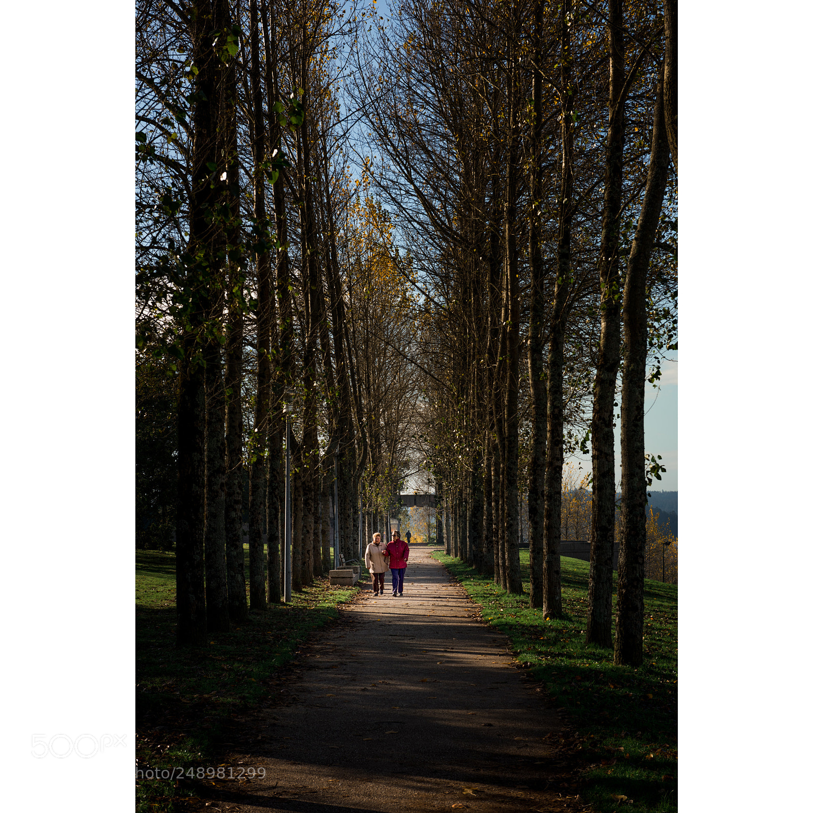 Nikon D810 sample photo. Parque de carlomagno photography