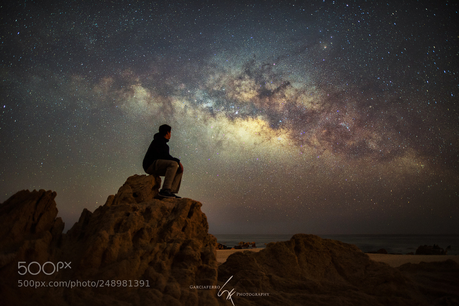 Nikon D5 sample photo. Looking the milkyway photography