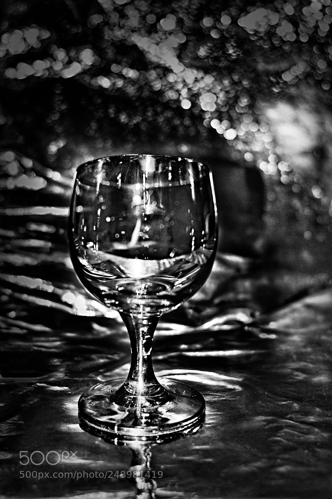 Nikon D3100 sample photo. Untitled photography