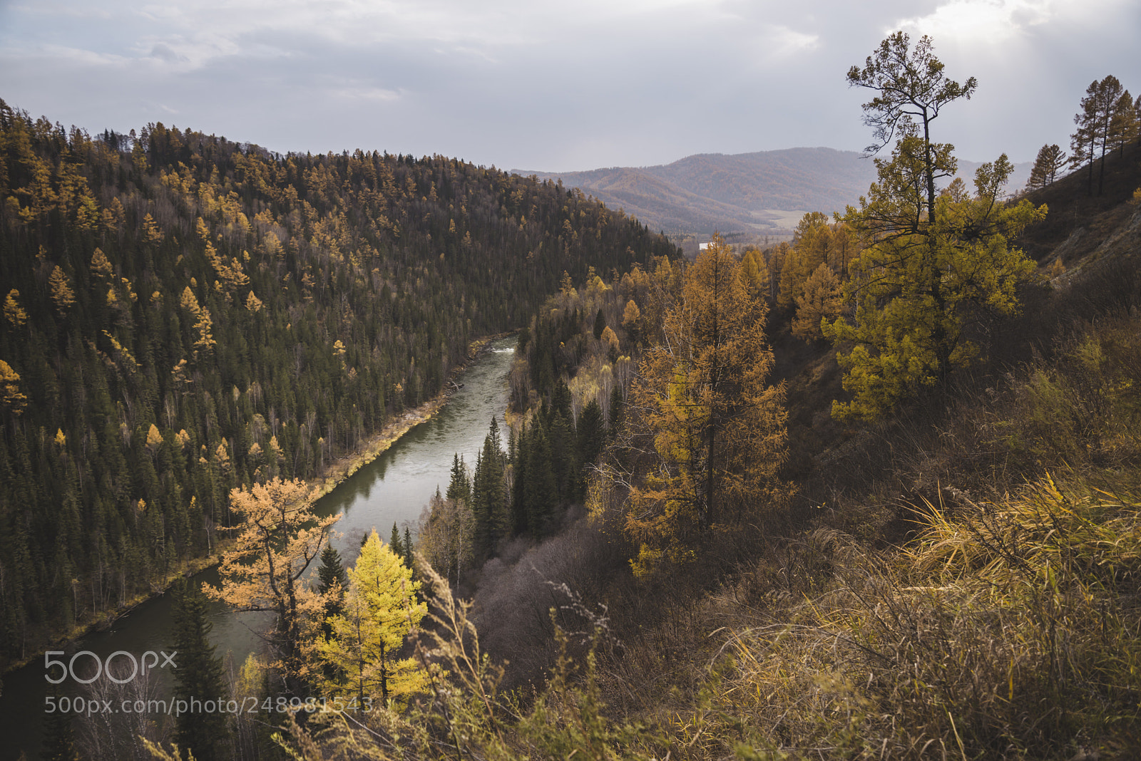 Nikon D610 sample photo. Koksa river photography