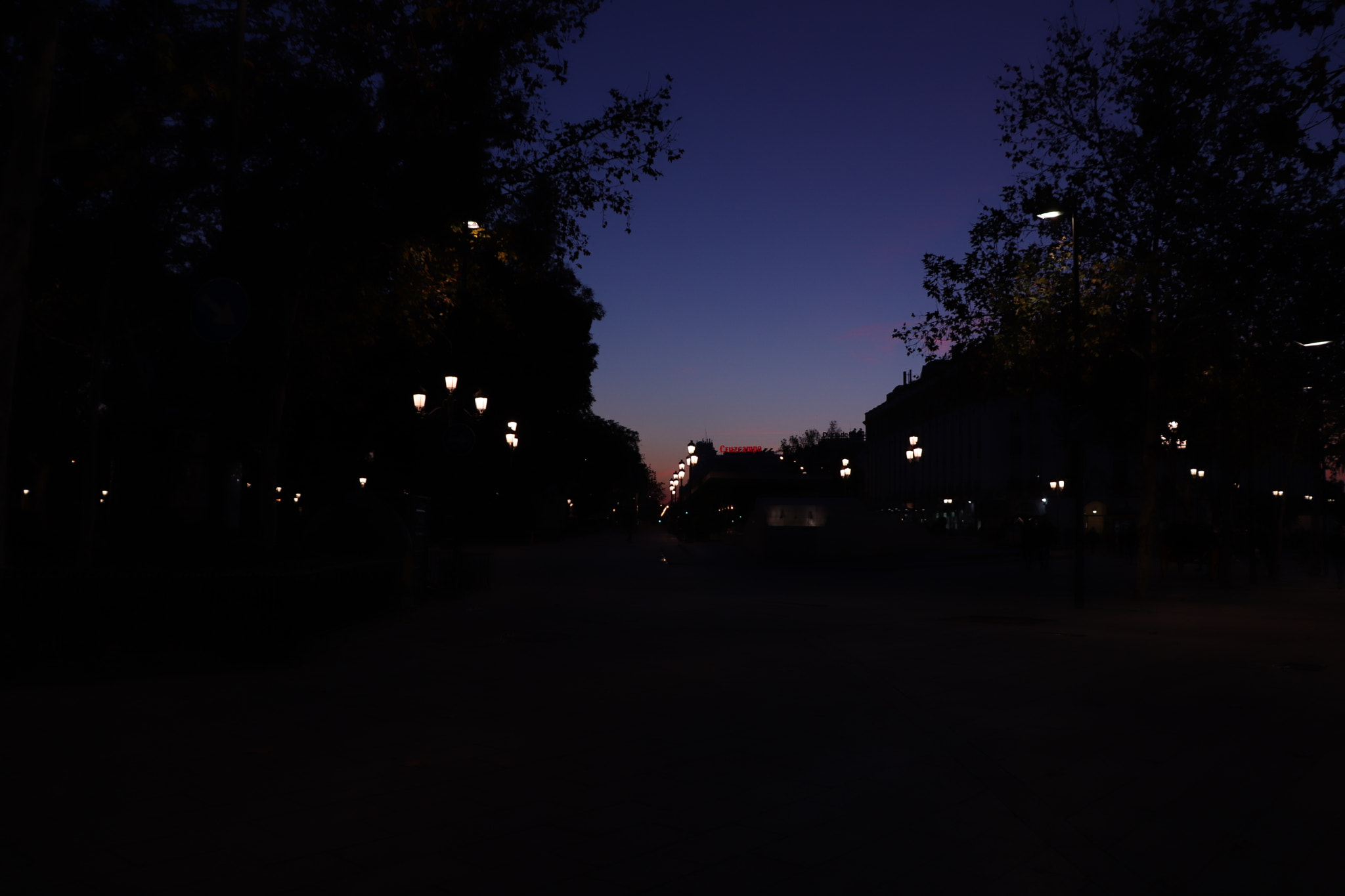 Canon EOS 800D (EOS Rebel T7i / EOS Kiss X9i) sample photo