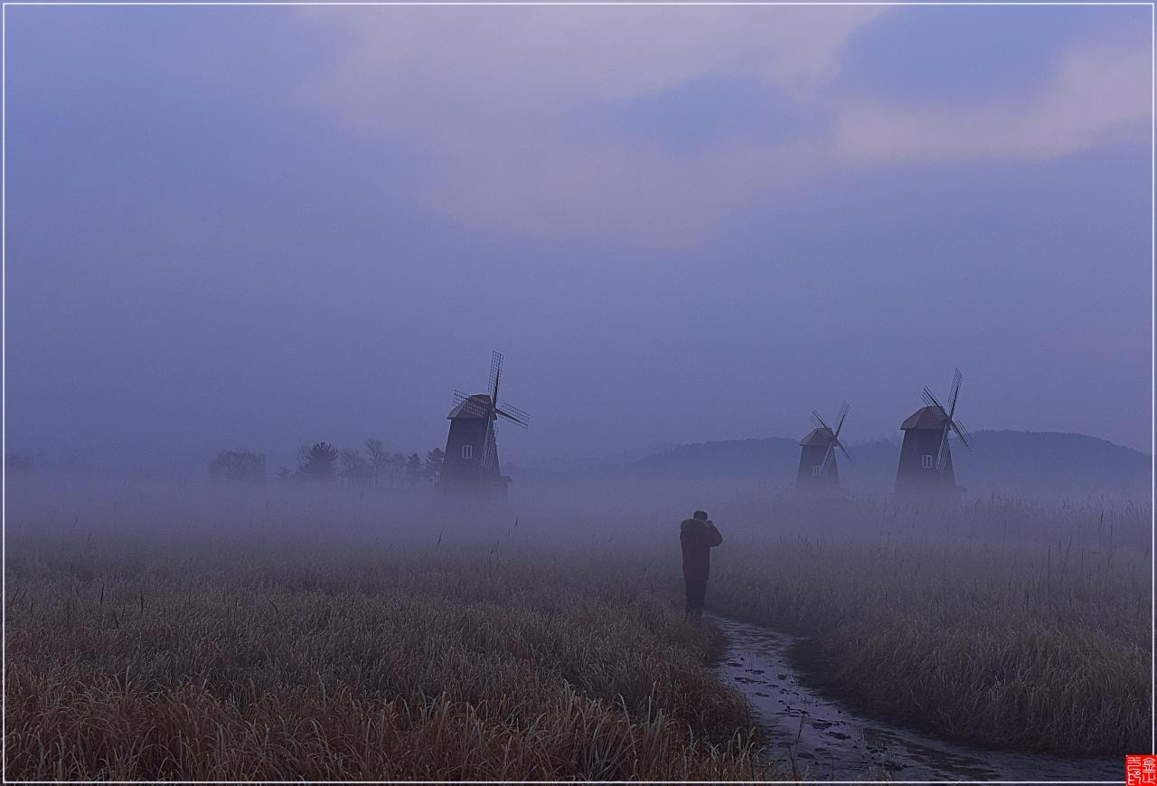 Nikon AF-S Nikkor 24-70mm F2.8G ED sample photo. Fog photography