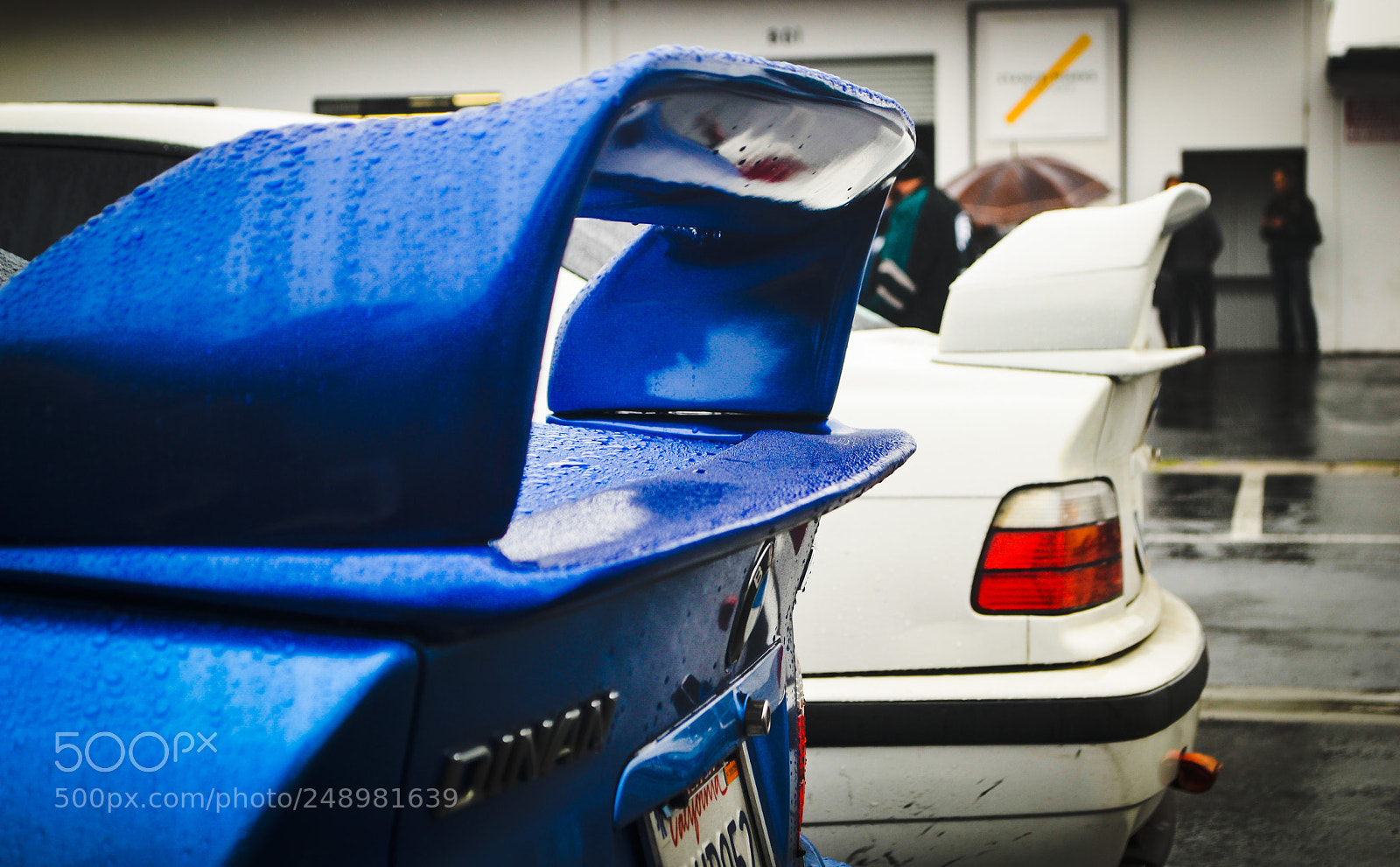 Nikon D3100 sample photo. Spolier alert photography