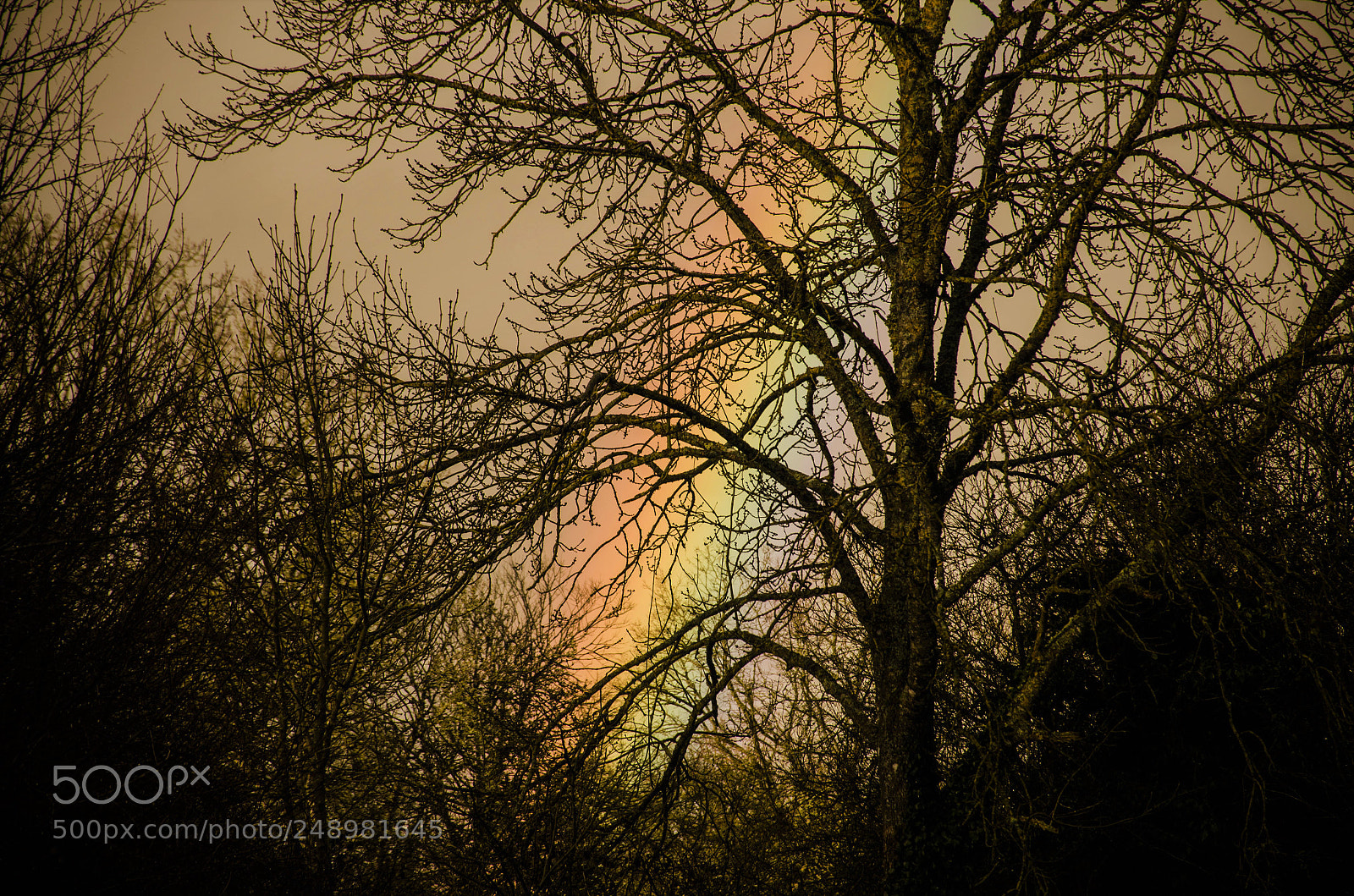 Nikon D7000 sample photo. The rainbow fallled in photography