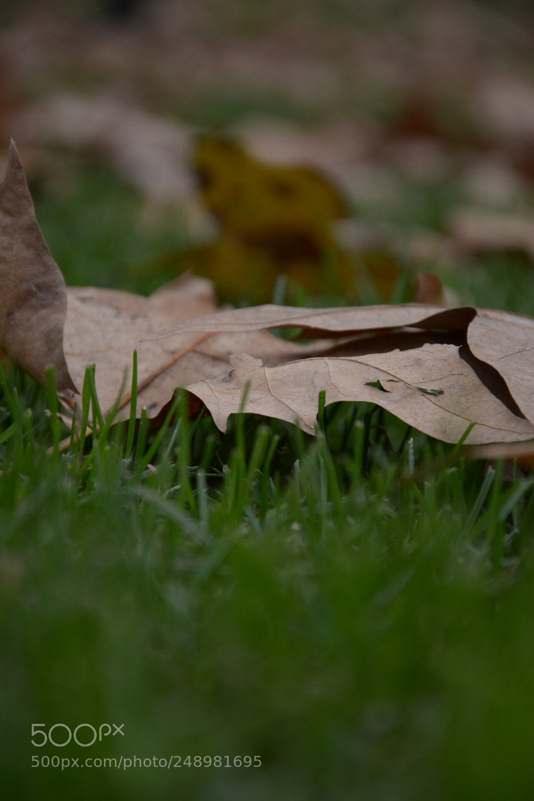 Nikon D7100 sample photo. ? photography
