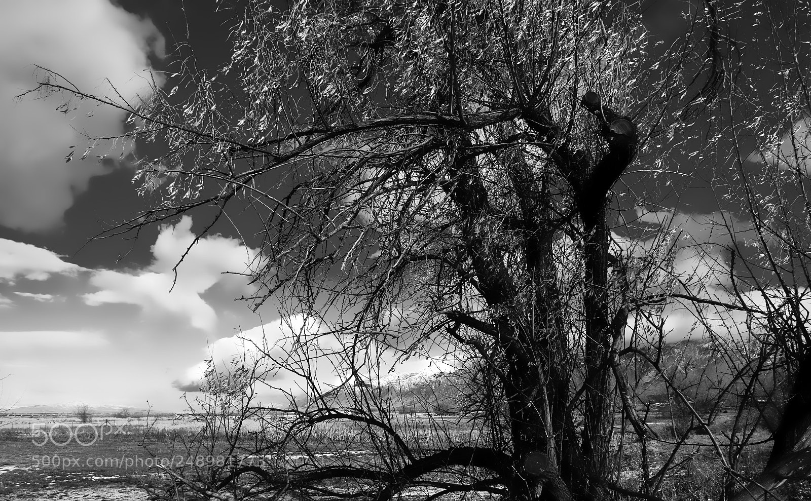 Pentax K20D sample photo. Utah wilderness photography