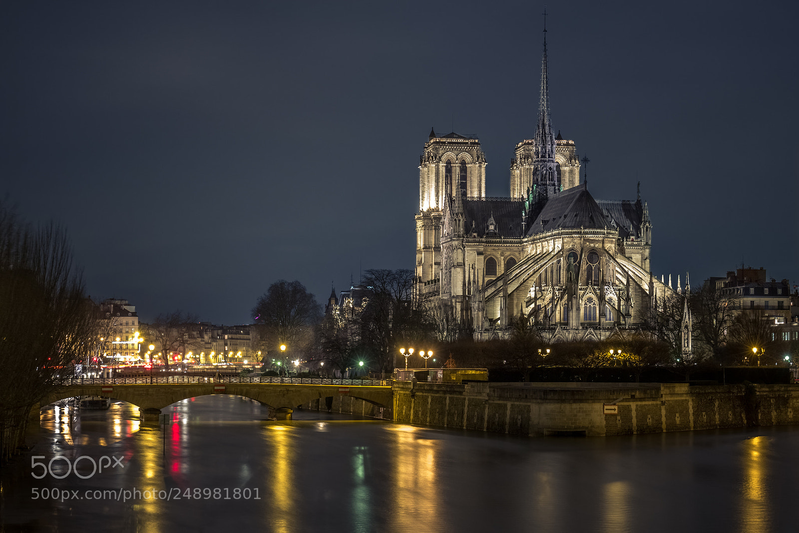 Canon EOS 650D (EOS Rebel T4i / EOS Kiss X6i) sample photo. Notre dame photography