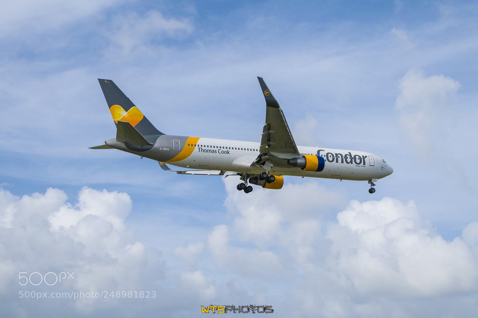 Nikon D3300 sample photo. Condor d abua boeing # photography