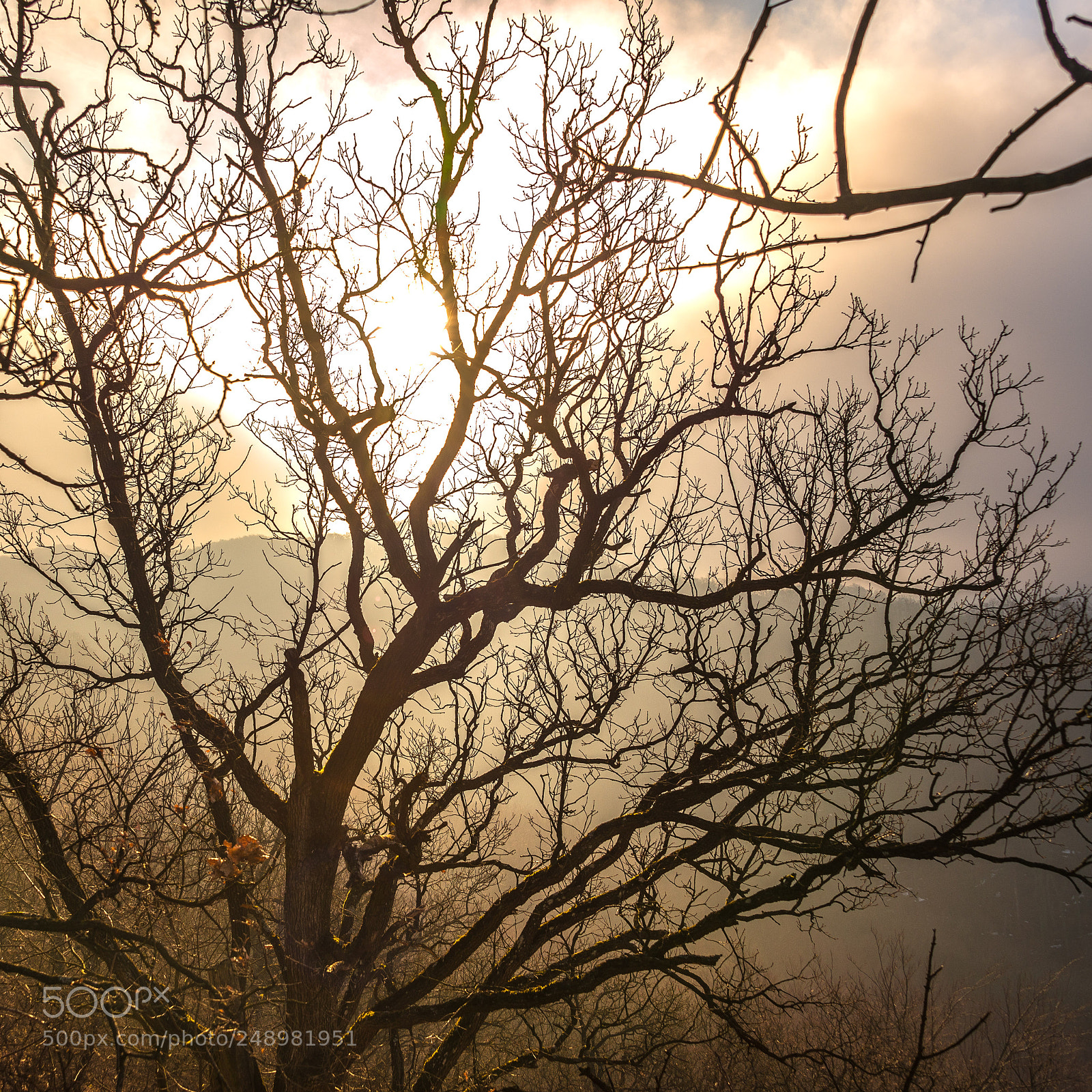 Nikon D610 sample photo. Morning in the mountains photography