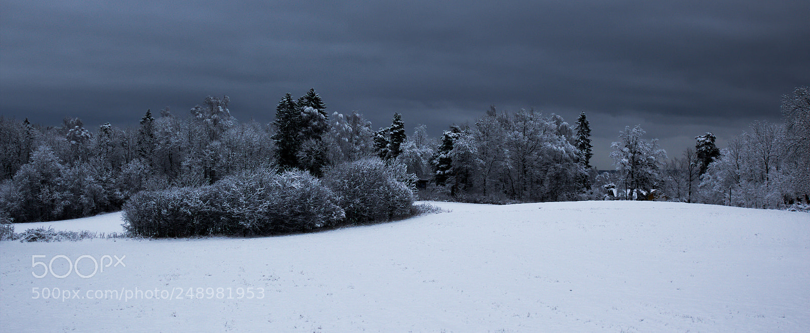 Canon EOS 600D (Rebel EOS T3i / EOS Kiss X5) sample photo. Snowy trees photography