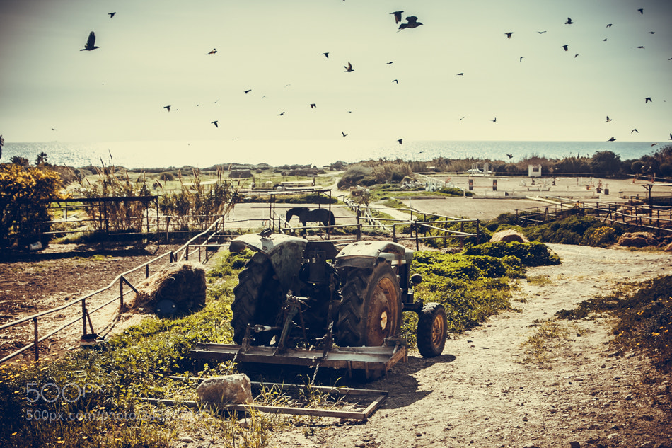 Canon EOS 60D sample photo. Cyprus photography