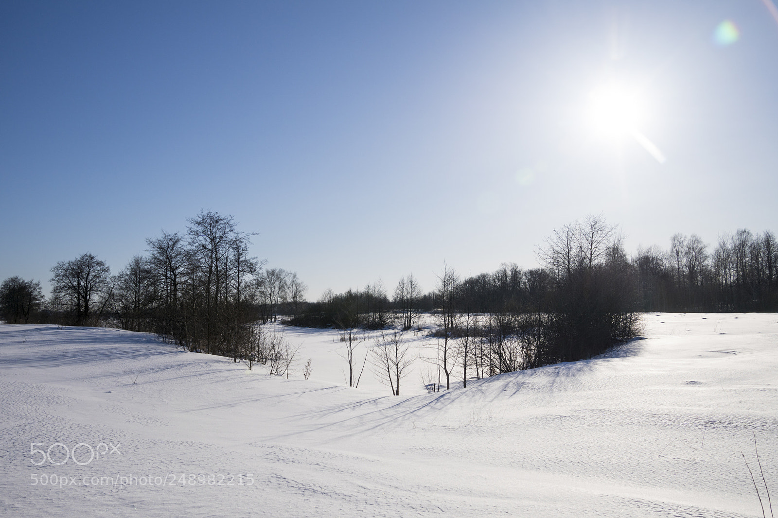 Sony ILCA-77M2 sample photo. Winter sun photography