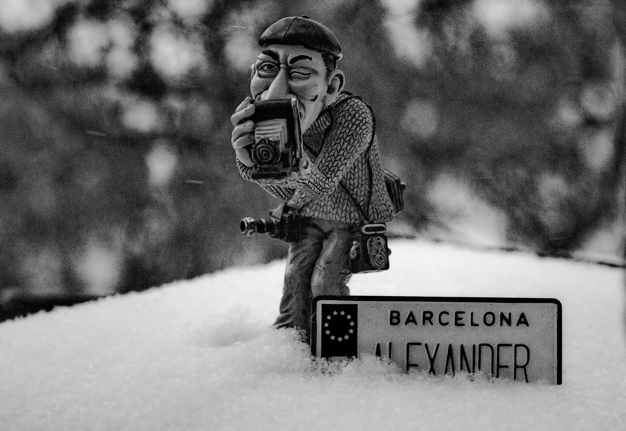 Canon EOS sample photo. Winter still life photography