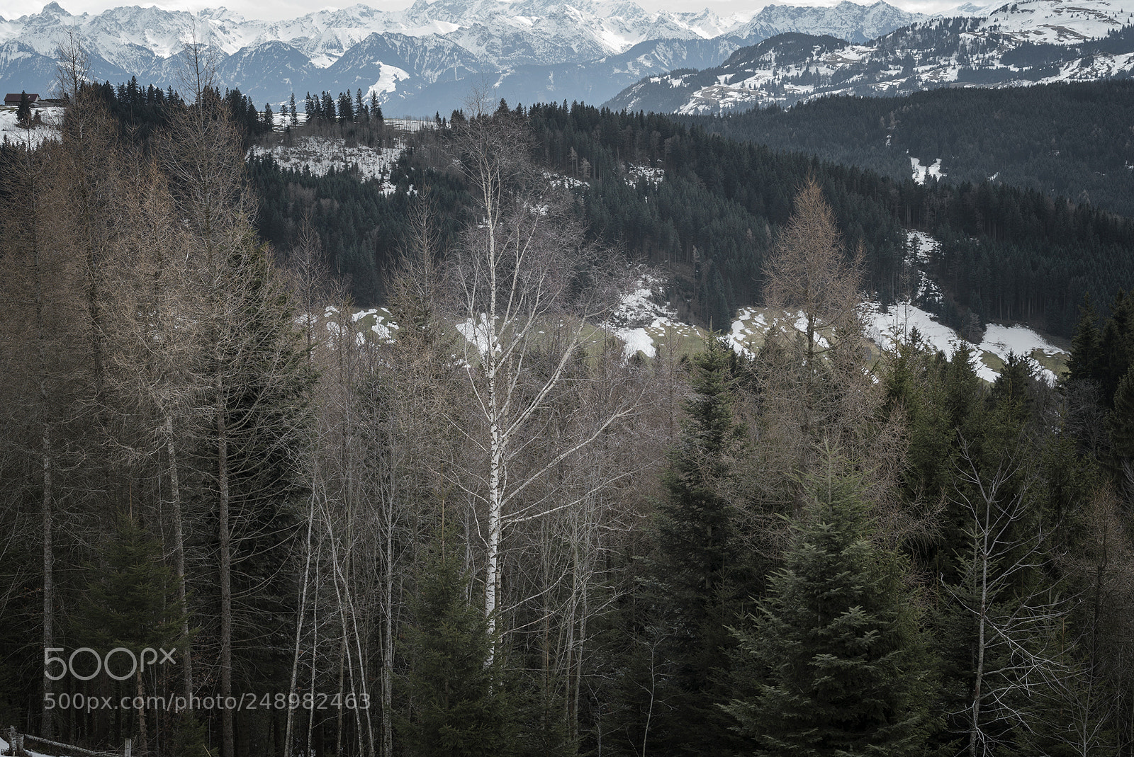 Sony a7S sample photo. Alpe photography