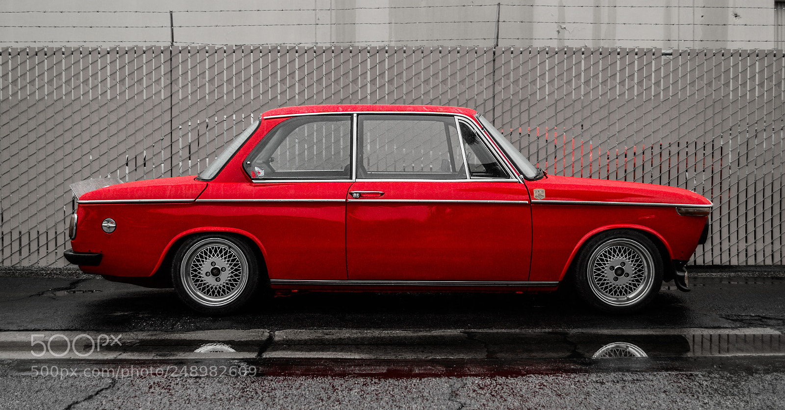 Nikon D3100 sample photo. Little red photography
