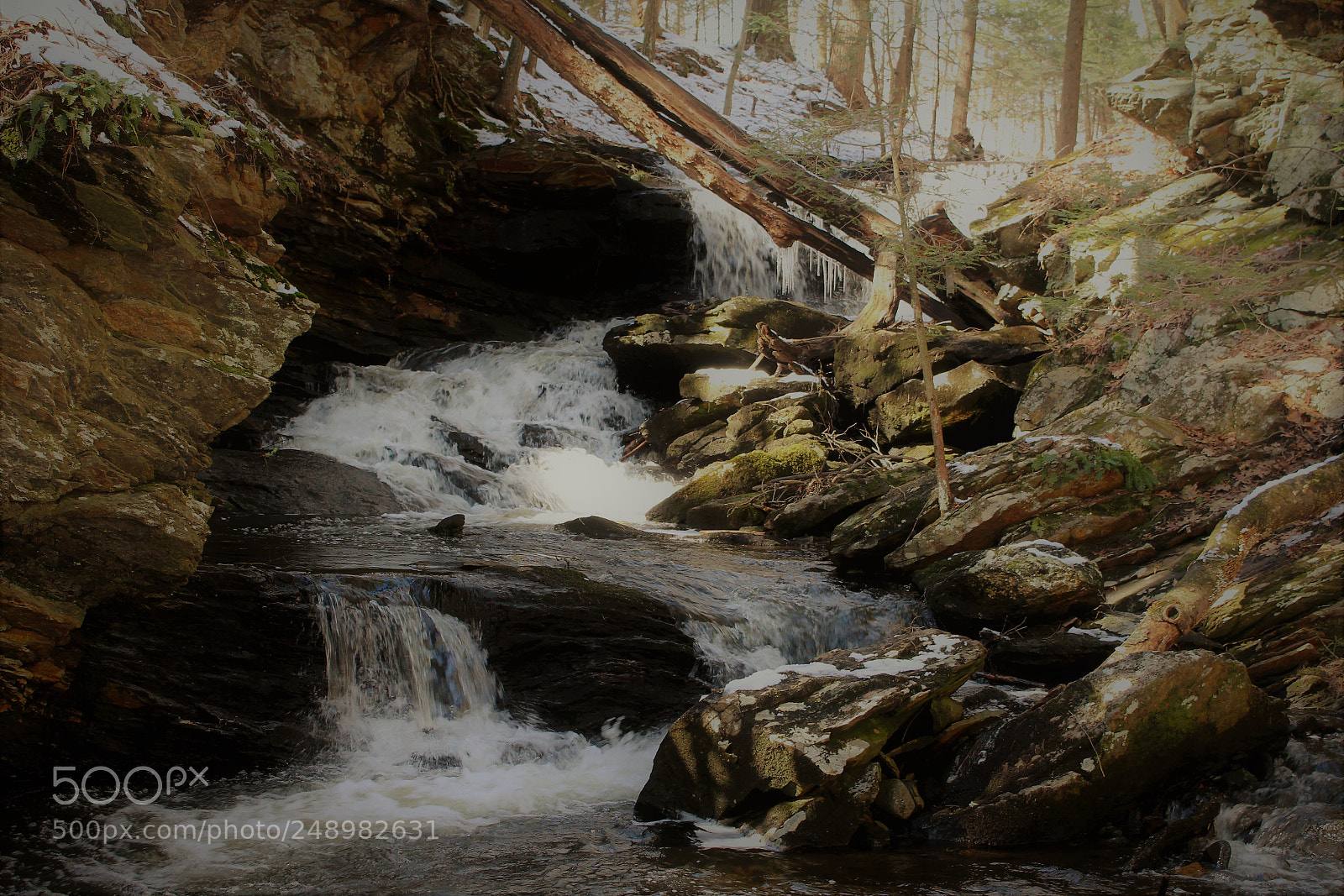 Canon EOS 1300D (EOS Rebel T6 / EOS Kiss X80) sample photo. Codfish falls photography