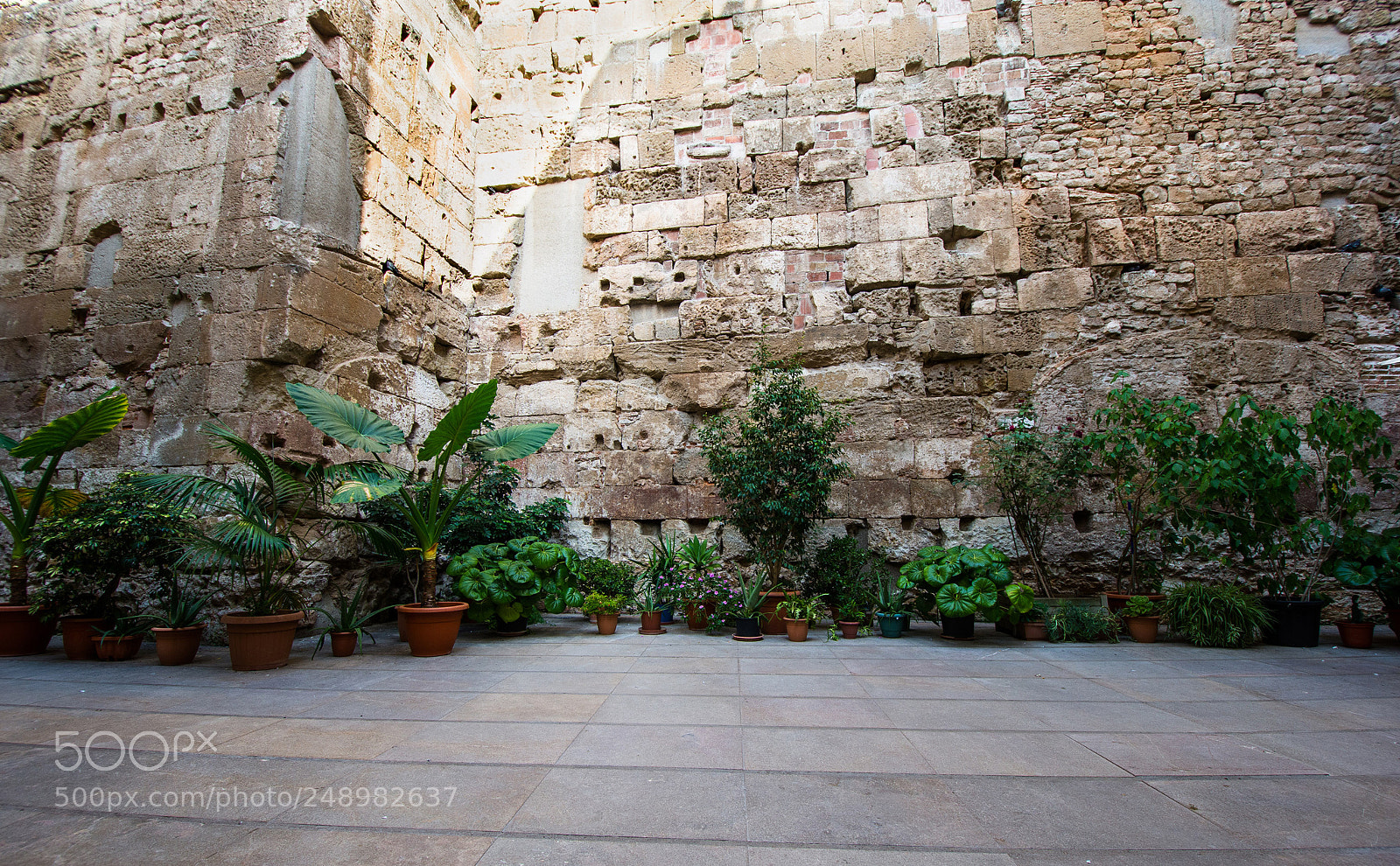 Nikon D7200 sample photo. Walled garden, barcelona photography