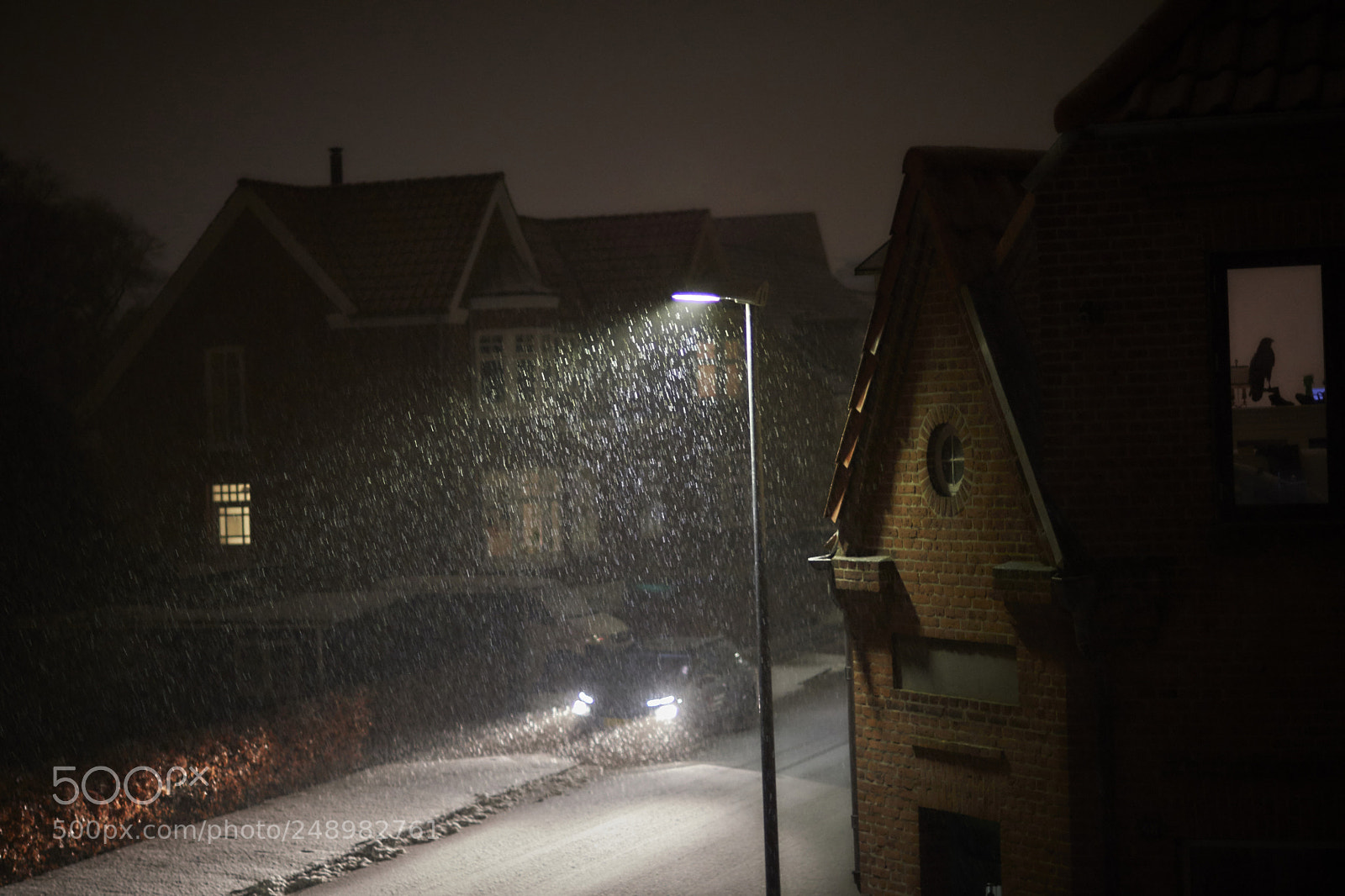 Nikon D500 sample photo. Snowydenmark photography