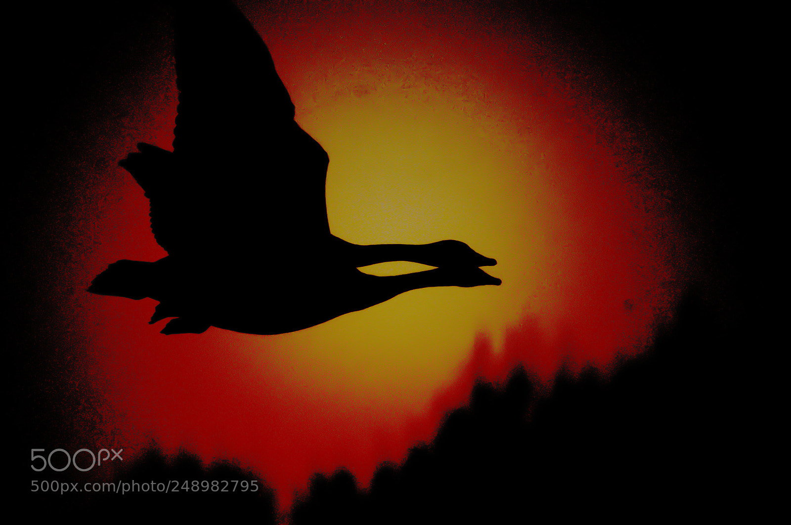 Nikon D300 sample photo. Sunset photography