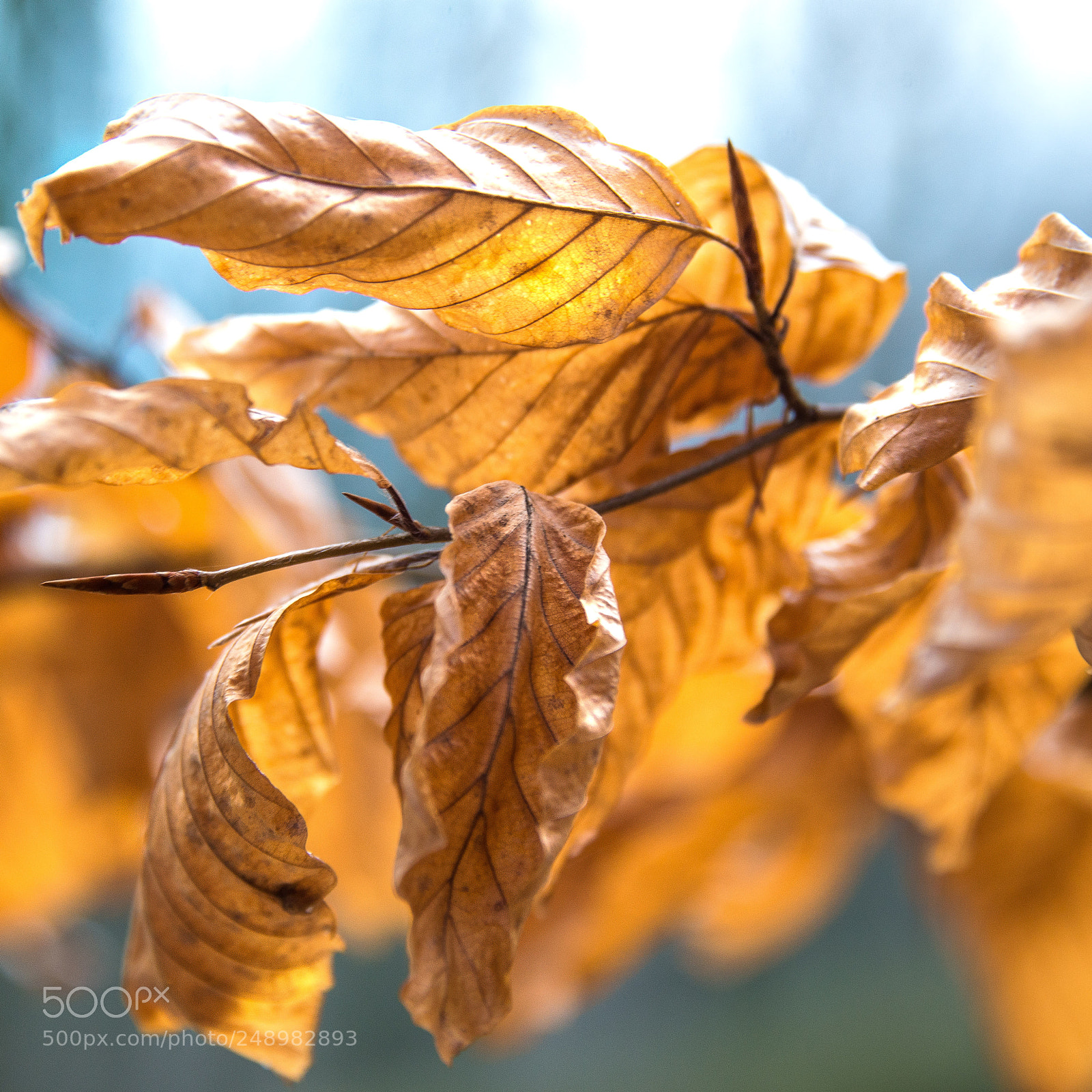 Nikon D610 sample photo. Nature today photography