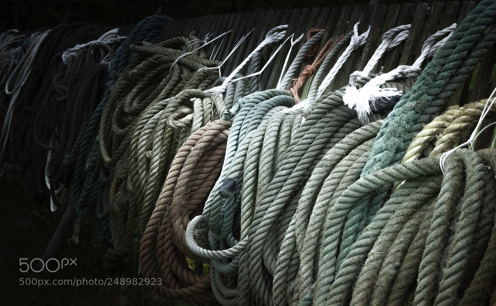 Nikon D5000 sample photo. Abstract photography
