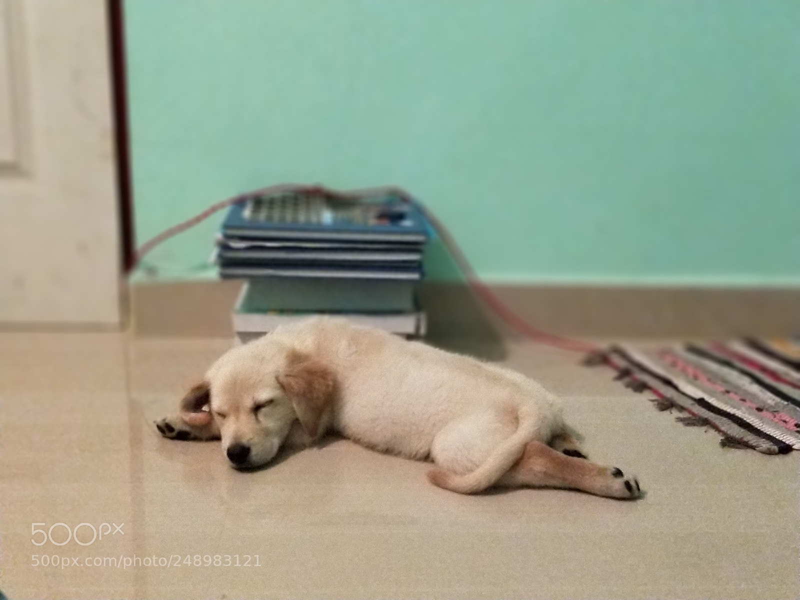 OnePlus 5 sample photo. Untitled photography